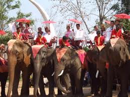 Elephant Back Wedding For Valentine’s Day In Surin Thailand